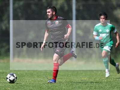 Bild-ID: 2559046