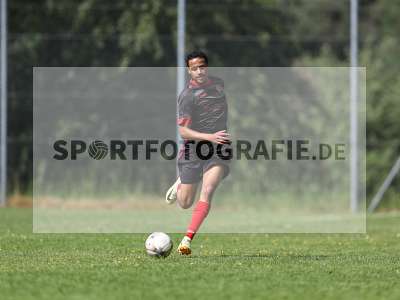 Bild-ID: 2559115