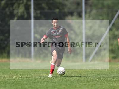 Bild-ID: 2559116