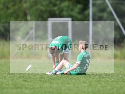 Bild-ID: 2559188