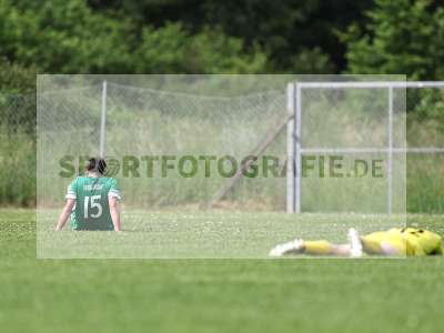 Bild-ID: 2559189