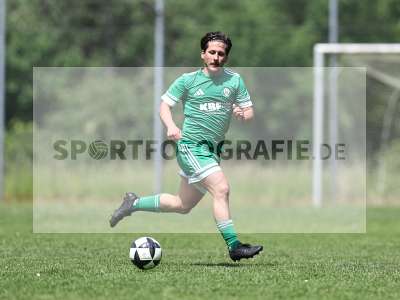 Bild-ID: 2559210