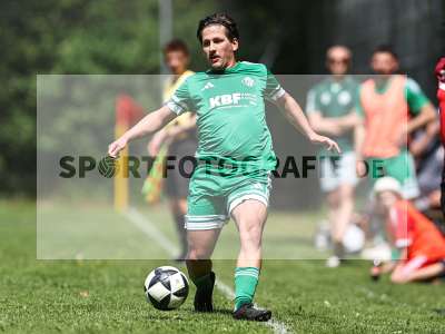 Bild-ID: 2559219