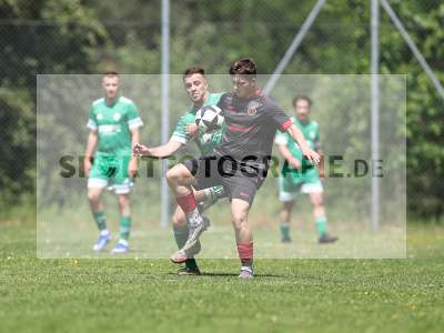 Bild-ID: 2559229