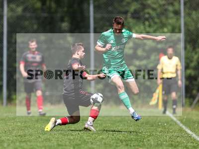 Bild-ID: 2559232