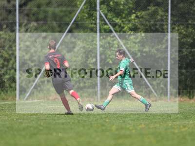 Bild-ID: 2559250