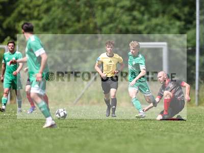 Bild-ID: 2559302