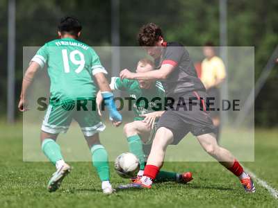 Bild-ID: 2559331