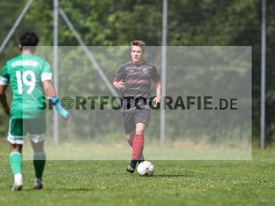 Bild-ID: 2559336