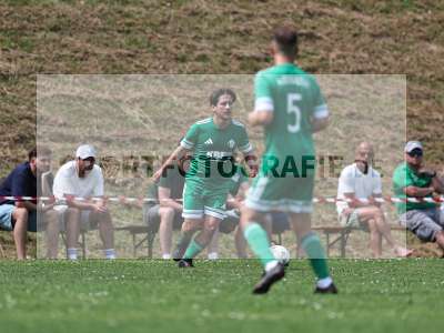 Bild-ID: 2559372