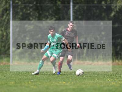 Bild-ID: 2559418