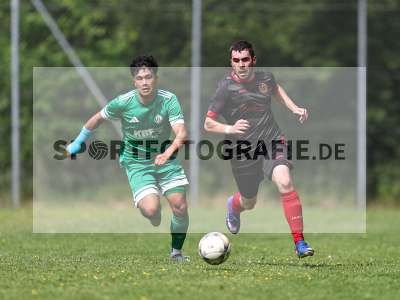 Bild-ID: 2559422