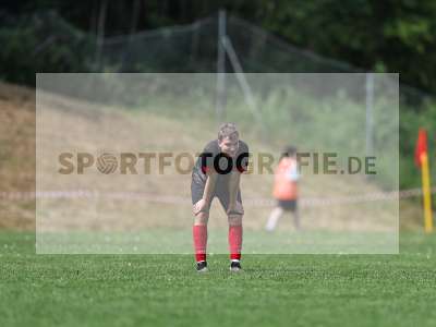 Bild-ID: 2559426