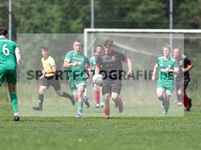 Bild-ID: 2559433
