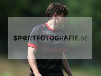Bild-ID: 2559439
