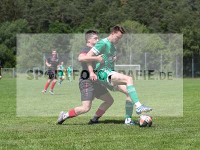 Bild-ID: 2559464