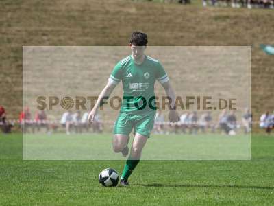 Bild-ID: 2559479