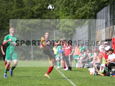 Bild-ID: 2559482