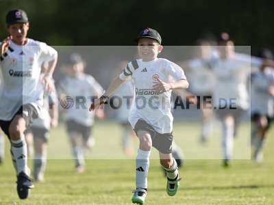 Bild-ID: 2559956