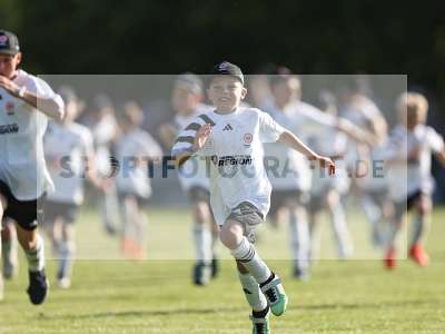 Bild-ID: 2559957