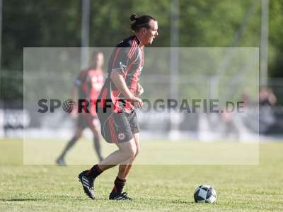 Bild-ID: 2559972