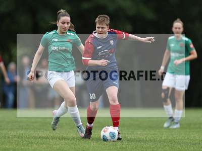 Bild-ID: 2560481