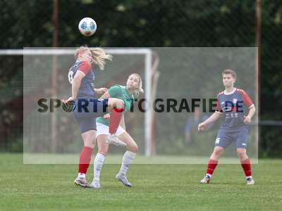 Bild-ID: 2562182