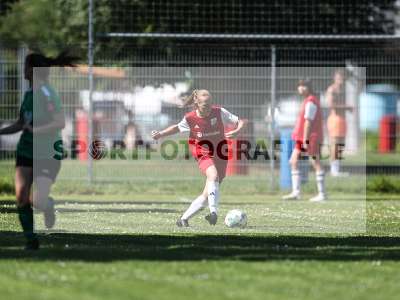 Bild-ID: 2562495