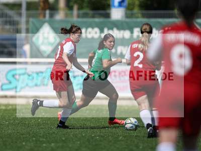 Bild-ID: 2562508