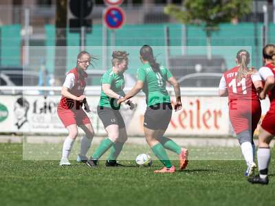 Bild-ID: 2562509