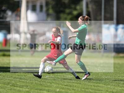 Bild-ID: 2562516