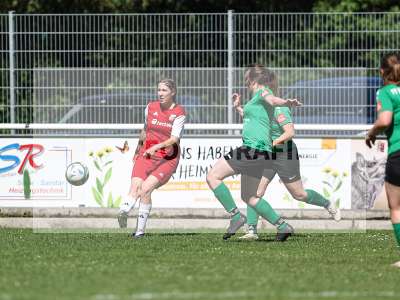 Bild-ID: 2562523