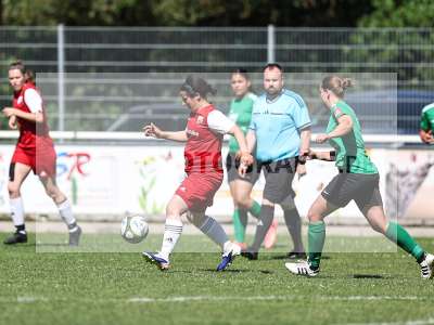 Bild-ID: 2562542