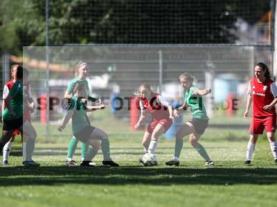 Bild-ID: 2562557