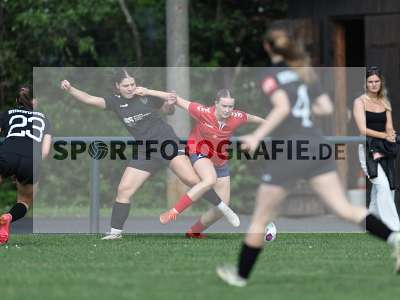 Bild-ID: 2562562