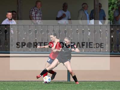 Bild-ID: 2562565