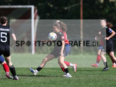 Bild-ID: 2562585