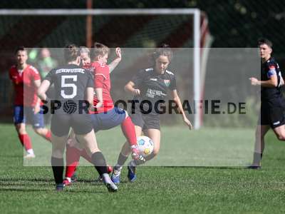 Bild-ID: 2562588