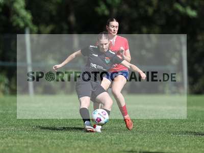 Bild-ID: 2562595