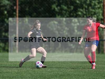 Bild-ID: 2562596