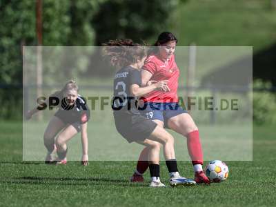 Bild-ID: 2562599