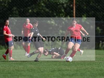 Bild-ID: 2562603