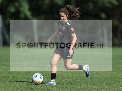 Bild-ID: 2562611