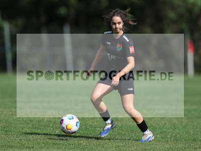 Bild-ID: 2562612