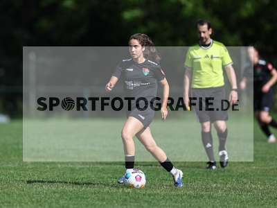 Bild-ID: 2562615