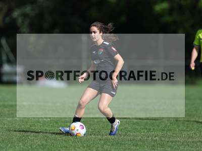 Bild-ID: 2562616