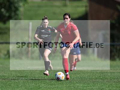 Bild-ID: 2562619