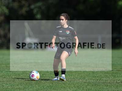 Bild-ID: 2562620