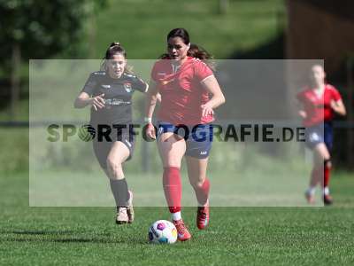 Bild-ID: 2562622