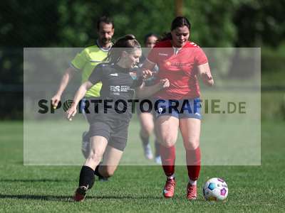 Bild-ID: 2562624
